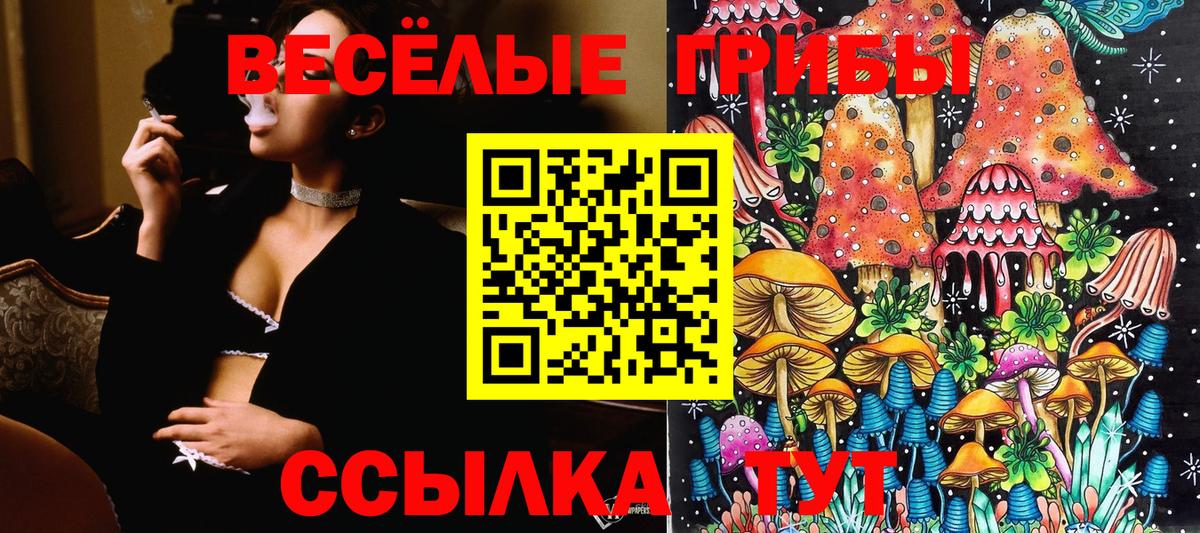 Псилоцибиновые грибы прущие грибы Холмск